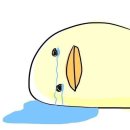 방역해충닥터버그119