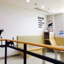 마음반려 동물의료원 이미지