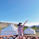 너른초원 | 몽골 게르 숙박 후기! 너무 좋았던 만족 몽골 여행 숙소 (게르 시설, 벌레, 화장실 수압 등)