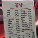 월드노래주점 | 부산 포장마차 감성 제대로, 조방포차거리 꽁냥 후기