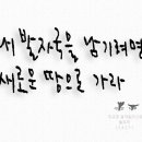 발자국-그림글자,캘리그라피,글자일러스트 이미지