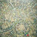 텅빈충만 이미지