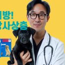 프리미엄아울렛약국 이미지