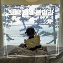 31140-9-20-1 | [보령 독채 펜션] 라바풀빌라, 20개월 아기와 함께한 프라이빗 온수풀 태교여행급 힐링 후기