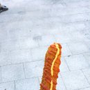 던킨도너츠 앞 ~ 다이소 앞 이미지