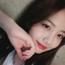 청화월