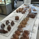 대림운동장 화장실 | [대림 대형 카페] 디저트 맛집 바위산 컨셉 바닥이 경사진 로스톤