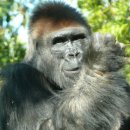 또와모텔 이미지