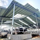 병인목장 이미지