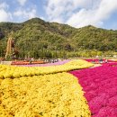 인제 꽃축제 및 설악산 한계령길 단풍 이미지