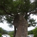 인태목장 이미지