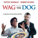 아웃독(OUT DOG) | 국장의 미장 Wag the Dog 현상