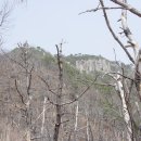 장수회 漂流記