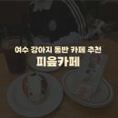 피읍 | 여수 강아지 동반 카페 추천) 피읖카페 내돈내산 솔직후기 밤티빵 파는곳 (웰시코기 동반 가능)