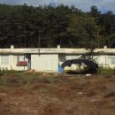 지사초등학교 이미지