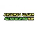 중등 세계사 이미지
