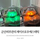 제이브로우에스테틱