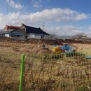 대지1리 마을회관 이미지