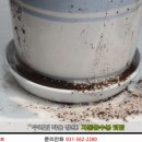 화분들닷컴 이미지
