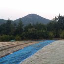 330부동산공인중개사사무소 이미지