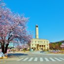 평택대학교 이미지