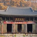 (주)영원중기 | 석가모니가 주불이 아닌 대웅전도 있다