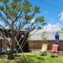 댕댕플래닛 이미지