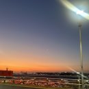 인형극 <내 친구 송아지> | 나 홀로 파리 여행