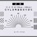 조은안과