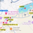 파인(Pine) | 사파 숙소 추천 | 사파 파인 힐 에코로지(Sapa Pine Hill Ecolodge) 내돈내산 후기 (만족도 200%)