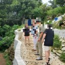 남해섬 | 남해 섬이정원 방문 후기 🌿