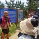 옵티마행복약국 이미지