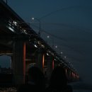 개 태우는 오빠 이미지