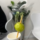 보석탕후루 송파점