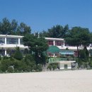 호법초교 이미지