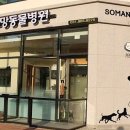 거부기 동물병원 이미지