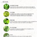 엔오에이치 네이버블로그