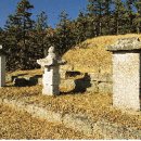 성석린 선생 묘 이미지