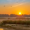 초콜릿케이크(CHOCOLATE CAKE) 이미지