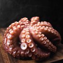 레옹푸드 이미지