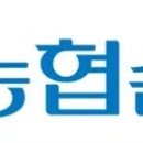 농협손보, '3년간 감기 12번' 종합보험 해지...고지의무 과잉 적용 논란 이미지