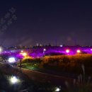 상암동 억새 축제 하늘공원 이미지
