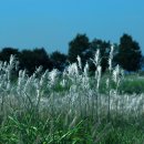 꿈과사랑 이미지