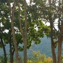 일심공인중개사사무소 이미지