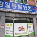 경일동물병원