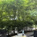 B18-1 | 광명 도덕산캠핑장 - 추첨예약 방법, 가격, B18 구역 후기