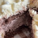 홍연카써비스 | 진짜.. 우리 이렇게 끝이야?(feat.12월 결산)