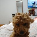 누리농장 네이버블로그