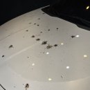 프로스팀 | 🚗✨ 연산동스팀세차 다녀온 솔직한 후기제이디테일프로 연산점 방문기 ✨🚗