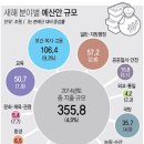 상정제 이미지